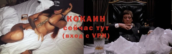 прущие крисы Бородино