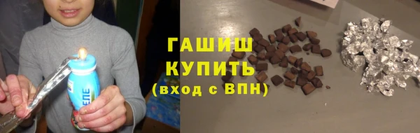 прущие крисы Бородино
