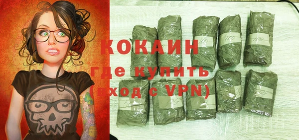 хмурый Бронницы