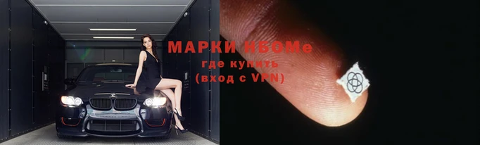 прущие крисы Бородино