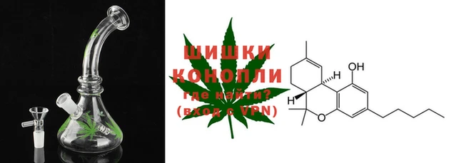 прущие крисы Бородино