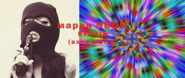 прущие крисы Бородино