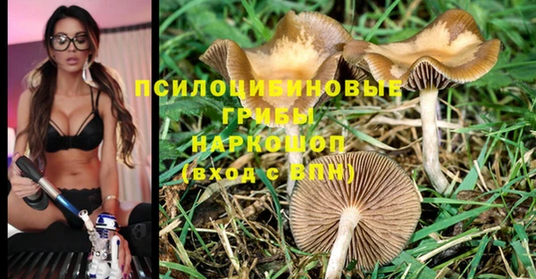 хмурый Бронницы