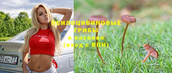 хмурый Бронницы