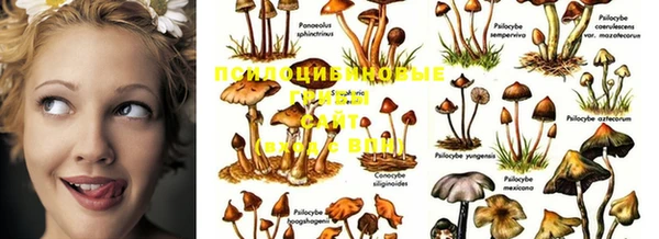 хмурый Бронницы